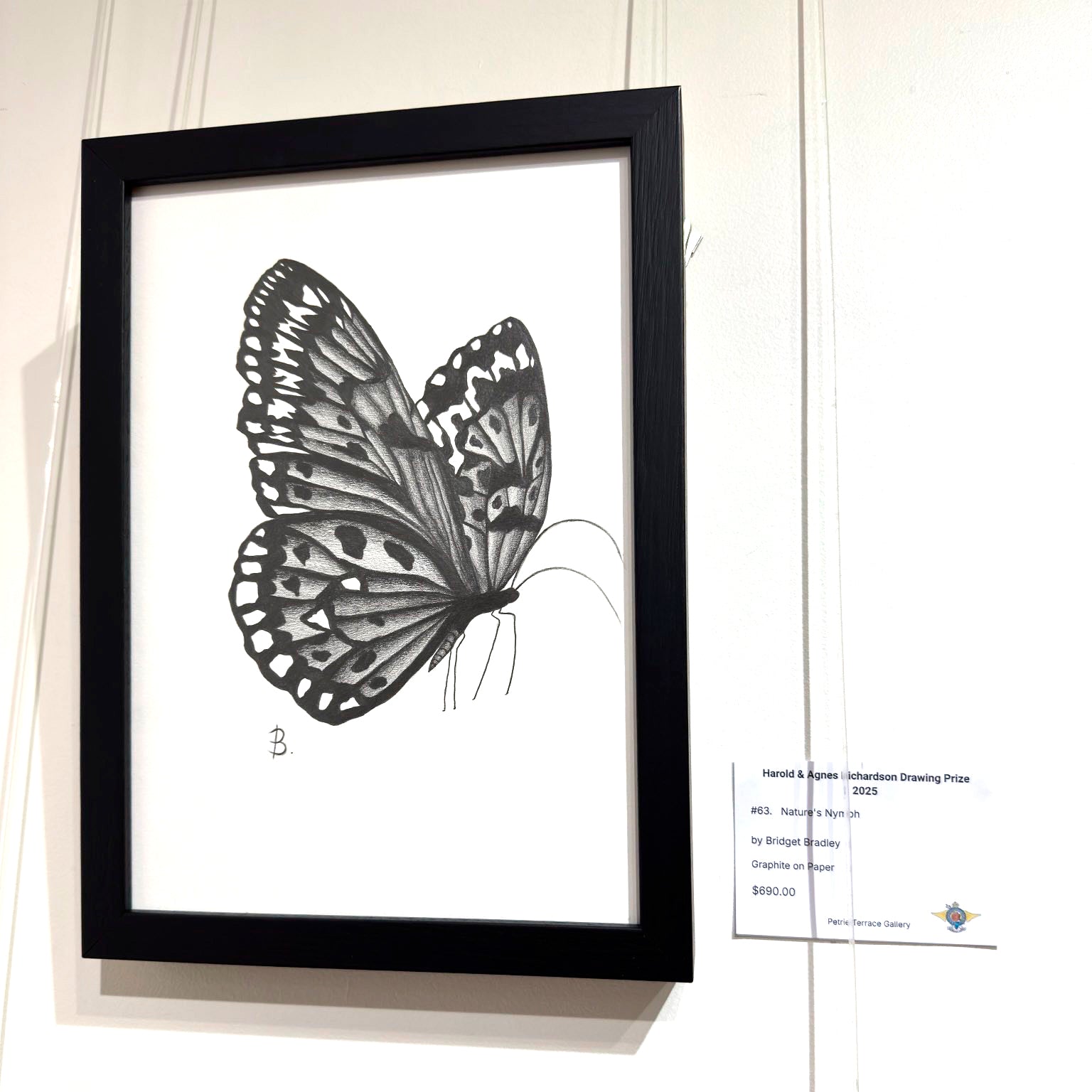 'Nature's Nymph' original fine art graphite drawing on paper by Bridget Bradley. Framed in custom, hand-made in Australia, black stained solid oak. Shown here at exhibition in Brisbane, 2025.