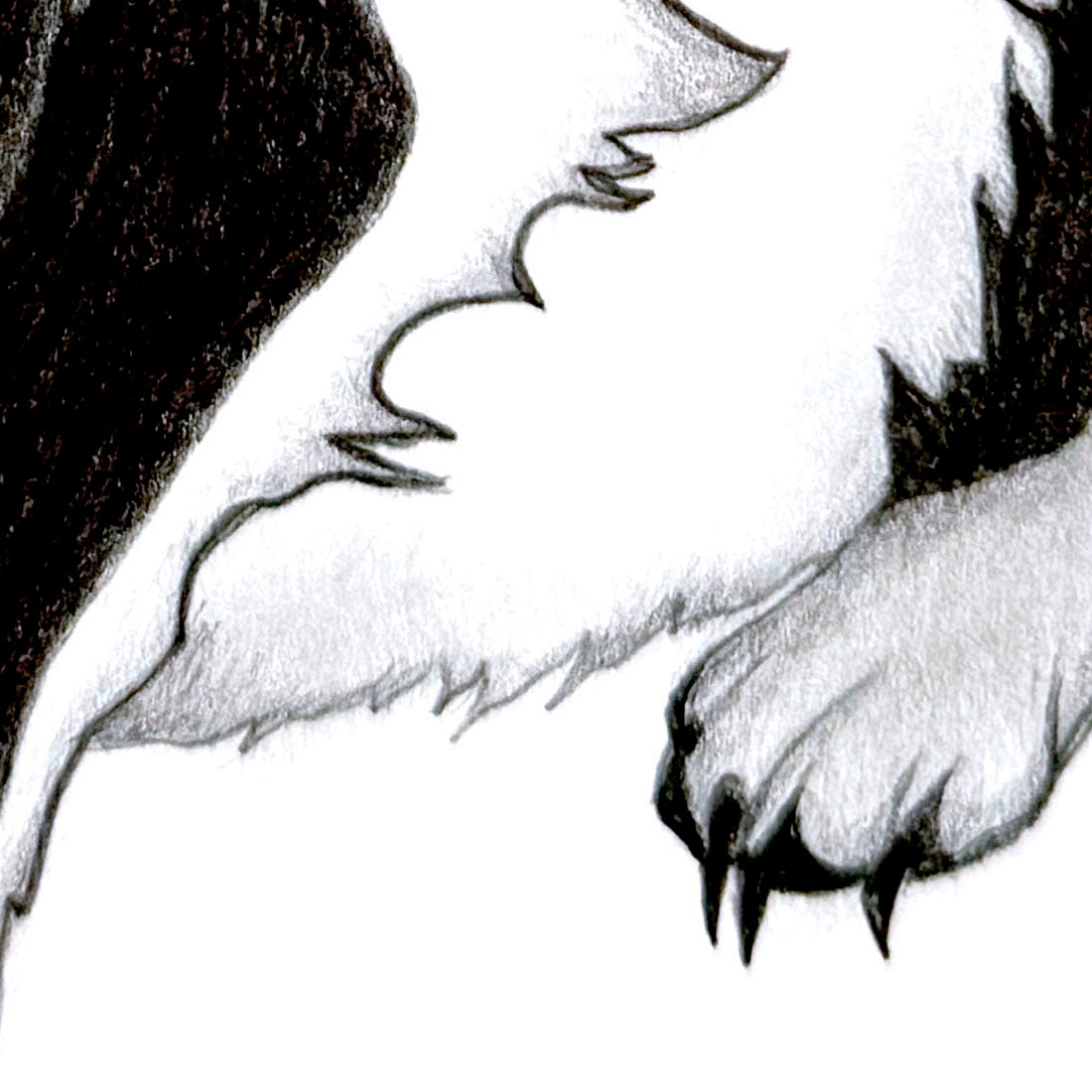 Closeup of Blending of 'Mythical Wolf" Wolf's Paw . Graphite Pencil Art by Bridget Bradley. 