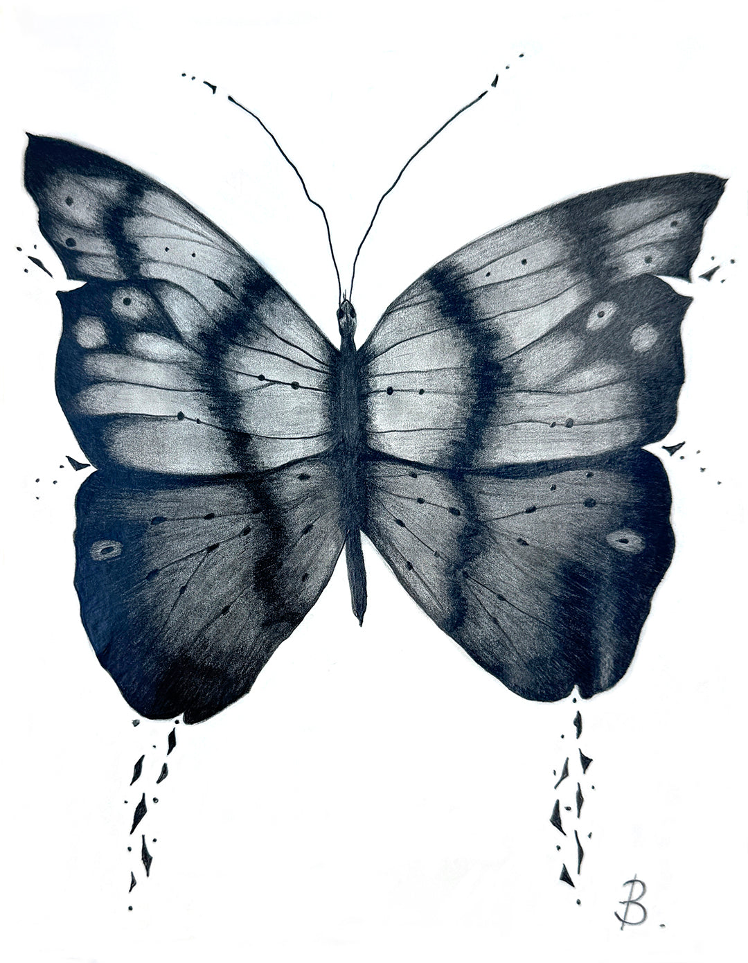 'Mythical Butterfly' original Graphite Pencil Art on Paper by Bridget Bradley. Learn more about this Artist's works