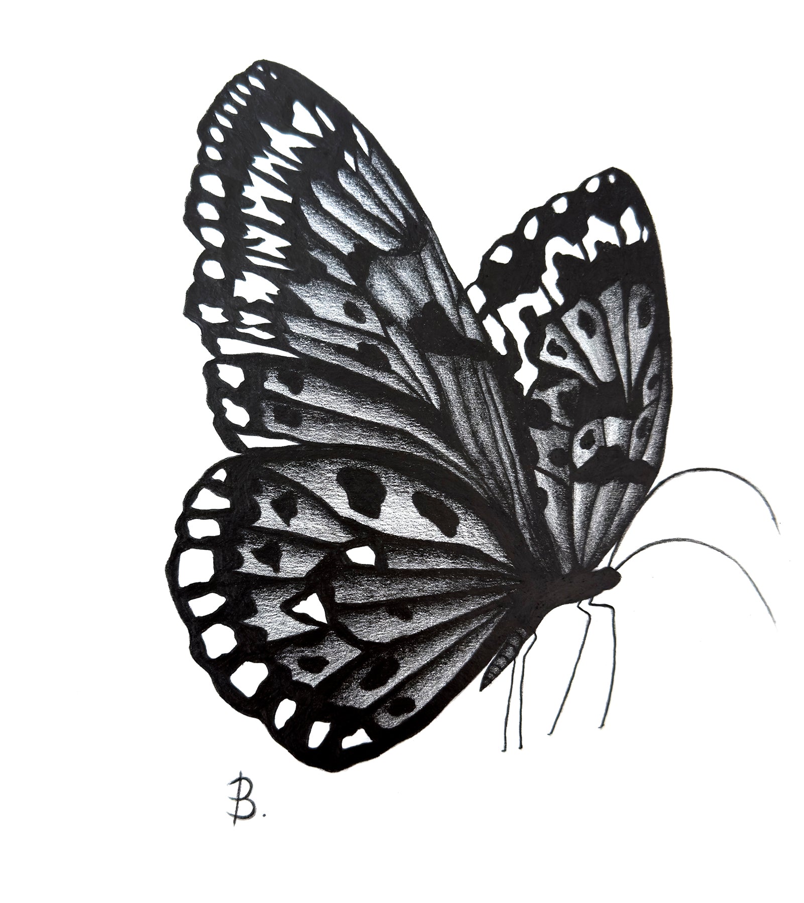 'Nature's Nymph' is an original graphite pencil art on art paper by Bridget Bradley. Click to learn more.