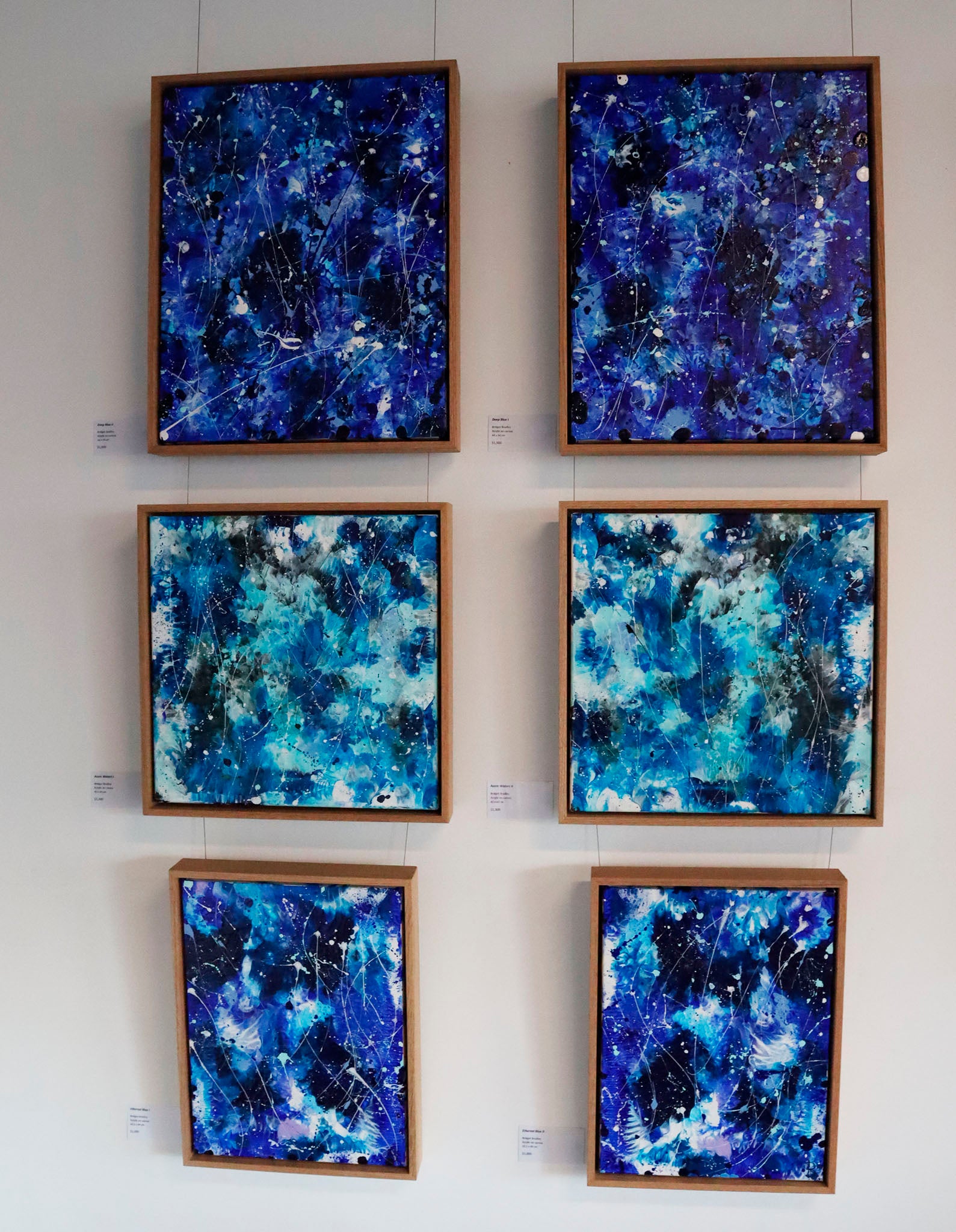 Original Abstract Paintings by Bridget Bradley, Framed in Solid Tasmainian Oak, Exhibited at Art Lovers Australia Gallery Melbourne, We Dream In Colour Exhibition 2024