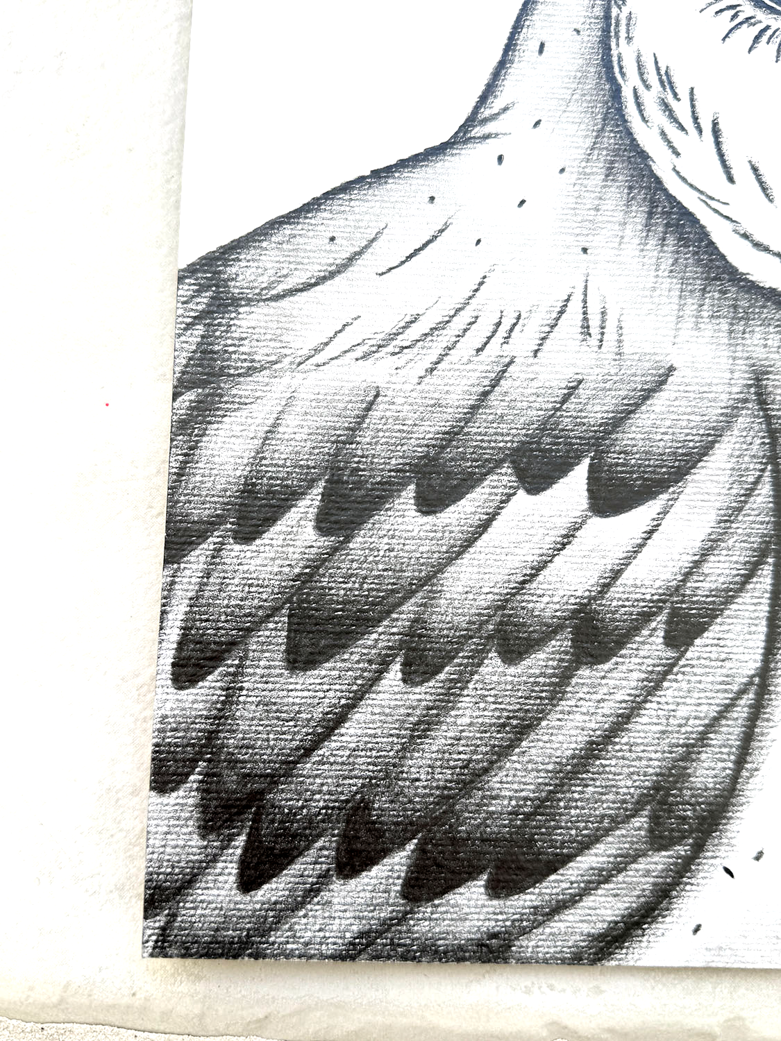 'Owl' Graphite Pencil Art by Bridget Bradley Closeup View of Feathers. Learn more