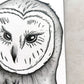 Closeup of graphite pencil art by Bridget Bradley, 'Owl' . Commissioned art on paper.