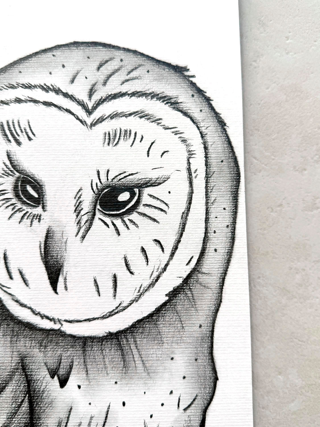 Closeup of graphite pencil art by Bridget Bradley, 'Owl' . Commissioned art on paper.