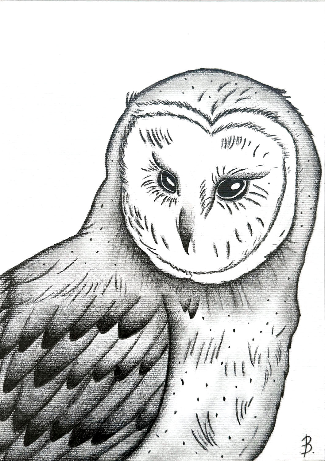 'Owl' by Bridget Bradley, Graphite Pencil Art on Art Paper. Learn more