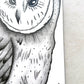 'Owl' Graphite Pencil Art by Bridget Bradley, Owl Face Closeup. Fine Art Drawing